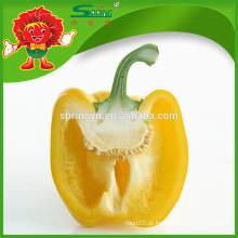 Nova colheita fresca capsicum yellow capsicum